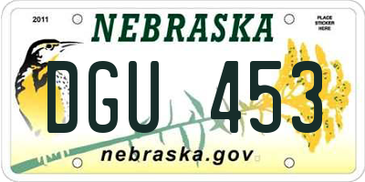 NE license plate DGU453