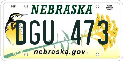 NE license plate DGU473