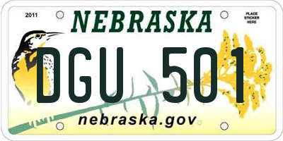NE license plate DGU501
