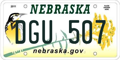 NE license plate DGU507