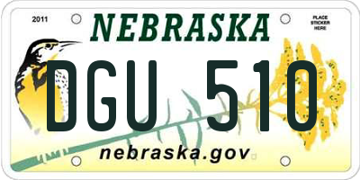 NE license plate DGU510