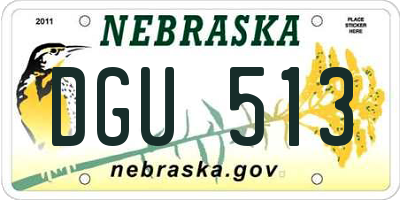 NE license plate DGU513
