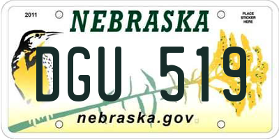 NE license plate DGU519