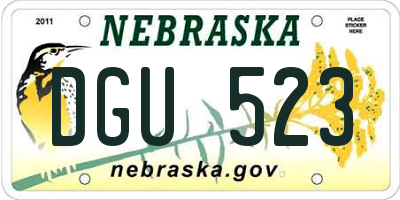 NE license plate DGU523