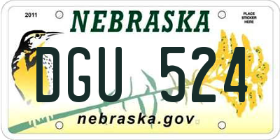 NE license plate DGU524