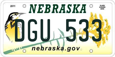 NE license plate DGU533