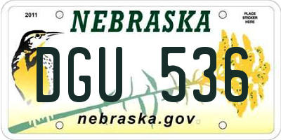 NE license plate DGU536