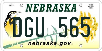 NE license plate DGU565