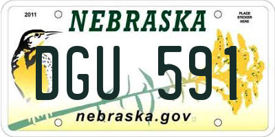 NE license plate DGU591
