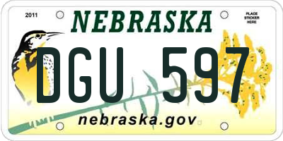 NE license plate DGU597