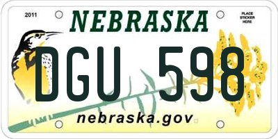 NE license plate DGU598