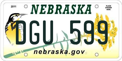 NE license plate DGU599