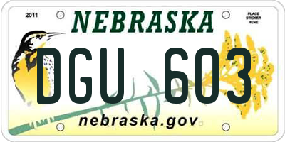NE license plate DGU603