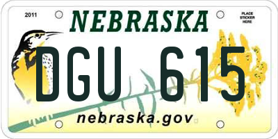 NE license plate DGU615