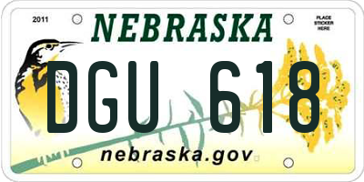 NE license plate DGU618