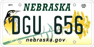 NE license plate DGU656