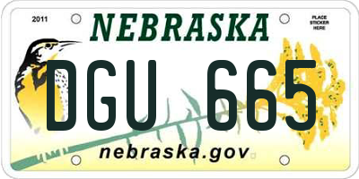 NE license plate DGU665
