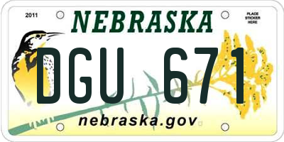 NE license plate DGU671