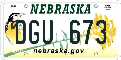 NE license plate DGU673
