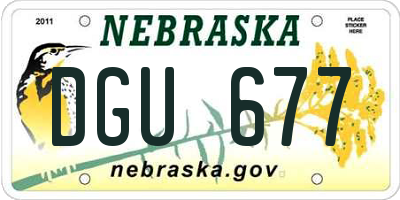 NE license plate DGU677