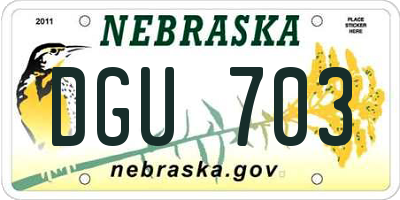 NE license plate DGU703