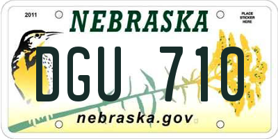 NE license plate DGU710