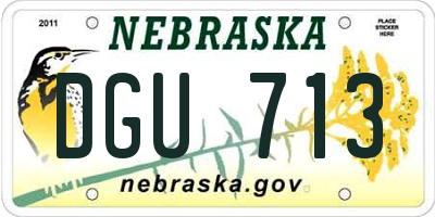 NE license plate DGU713