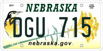 NE license plate DGU715