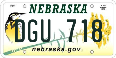 NE license plate DGU718