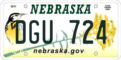 NE license plate DGU724
