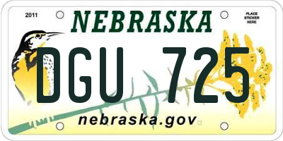 NE license plate DGU725