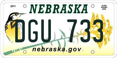 NE license plate DGU733