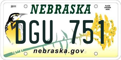NE license plate DGU751
