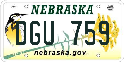 NE license plate DGU759
