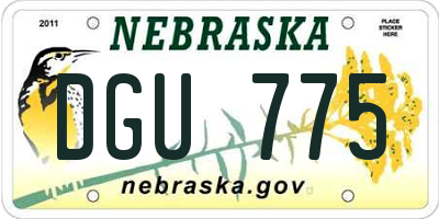 NE license plate DGU775