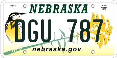 NE license plate DGU787