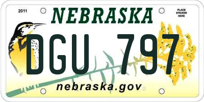 NE license plate DGU797