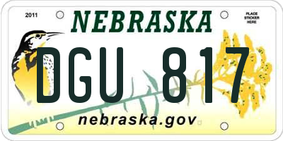 NE license plate DGU817