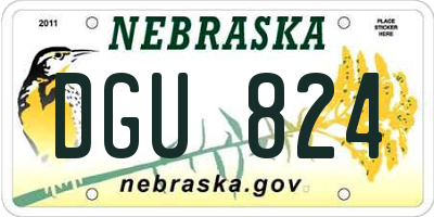 NE license plate DGU824