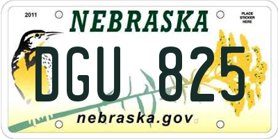 NE license plate DGU825