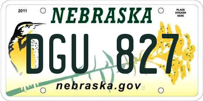 NE license plate DGU827