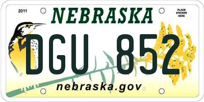 NE license plate DGU852