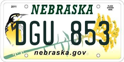 NE license plate DGU853