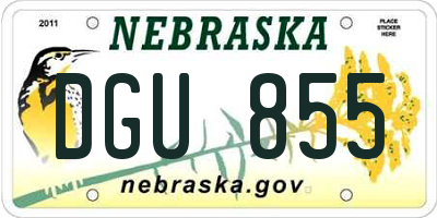 NE license plate DGU855
