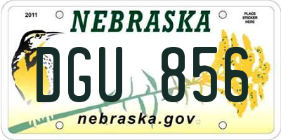 NE license plate DGU856