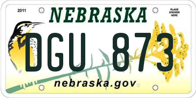 NE license plate DGU873