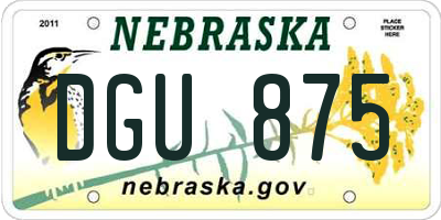 NE license plate DGU875
