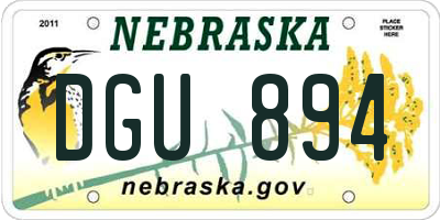 NE license plate DGU894