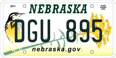 NE license plate DGU895