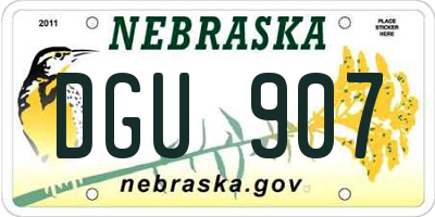NE license plate DGU907